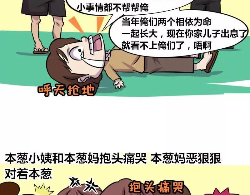 《本葱办公室》【74】程序员的表弟 第13页
