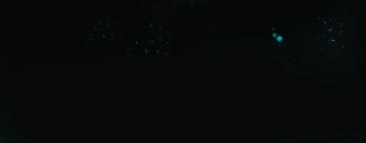 《龙灵鹤心》第4话 雷咒 第18页