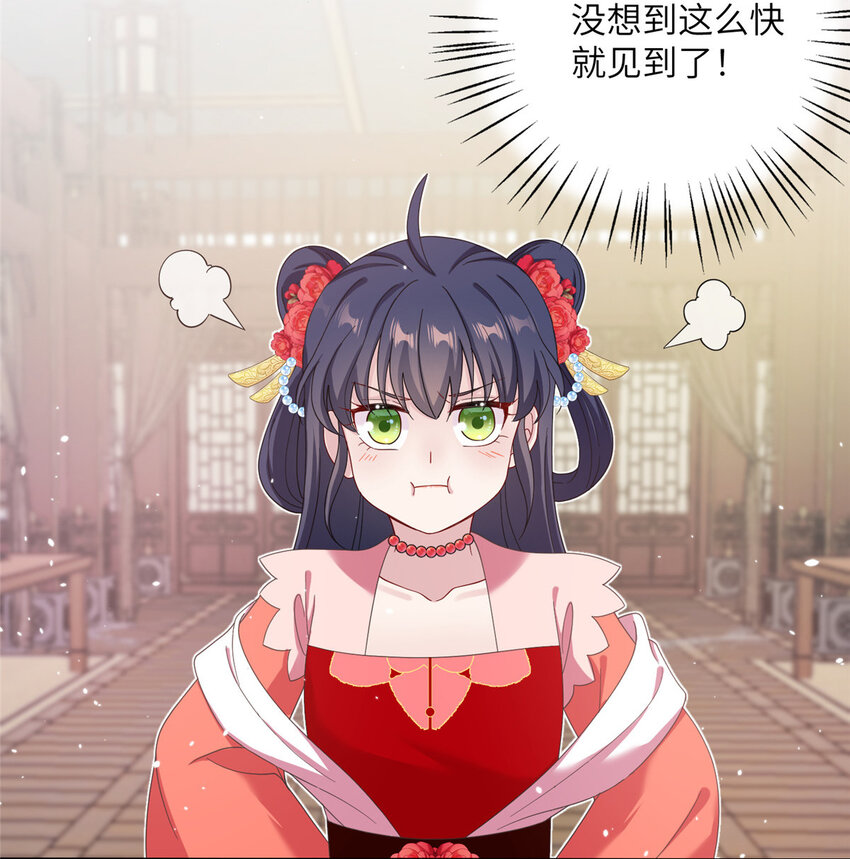 《女尊每天都在被美男迫害》36 乌家天女 第14页