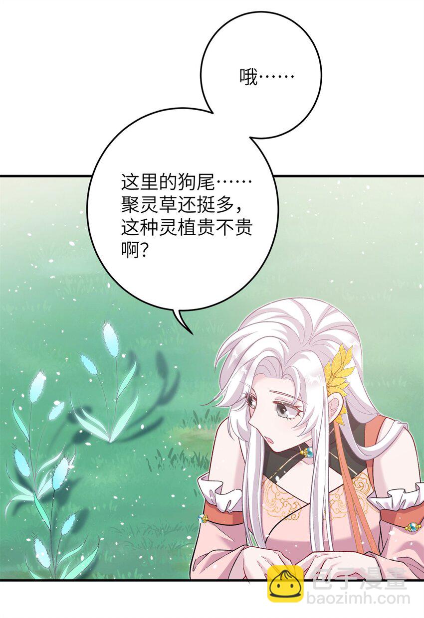 《女尊每天都在被美男迫害》56 月海秘境启 第36页