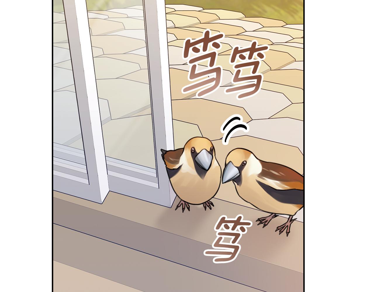 《我只心动不结婚》第63话 放弃摄影的理由 第17页