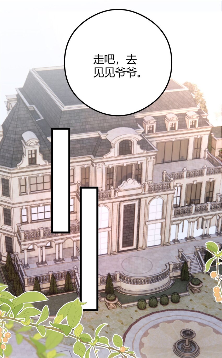 《我的金主只有五岁》第75话 秦家的资产 第5页