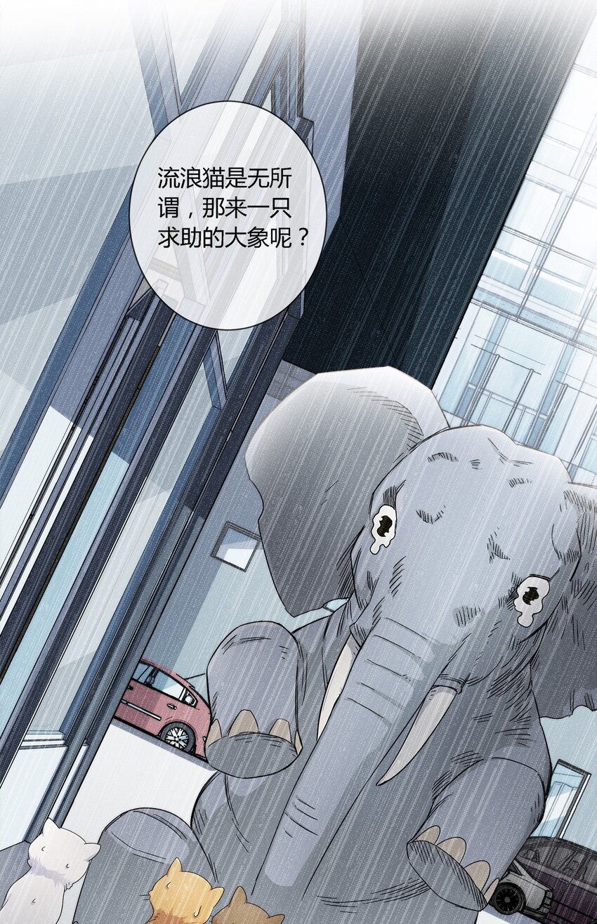 《夜市之王》020 流浪的猫咪和找事的猫咪 第37页