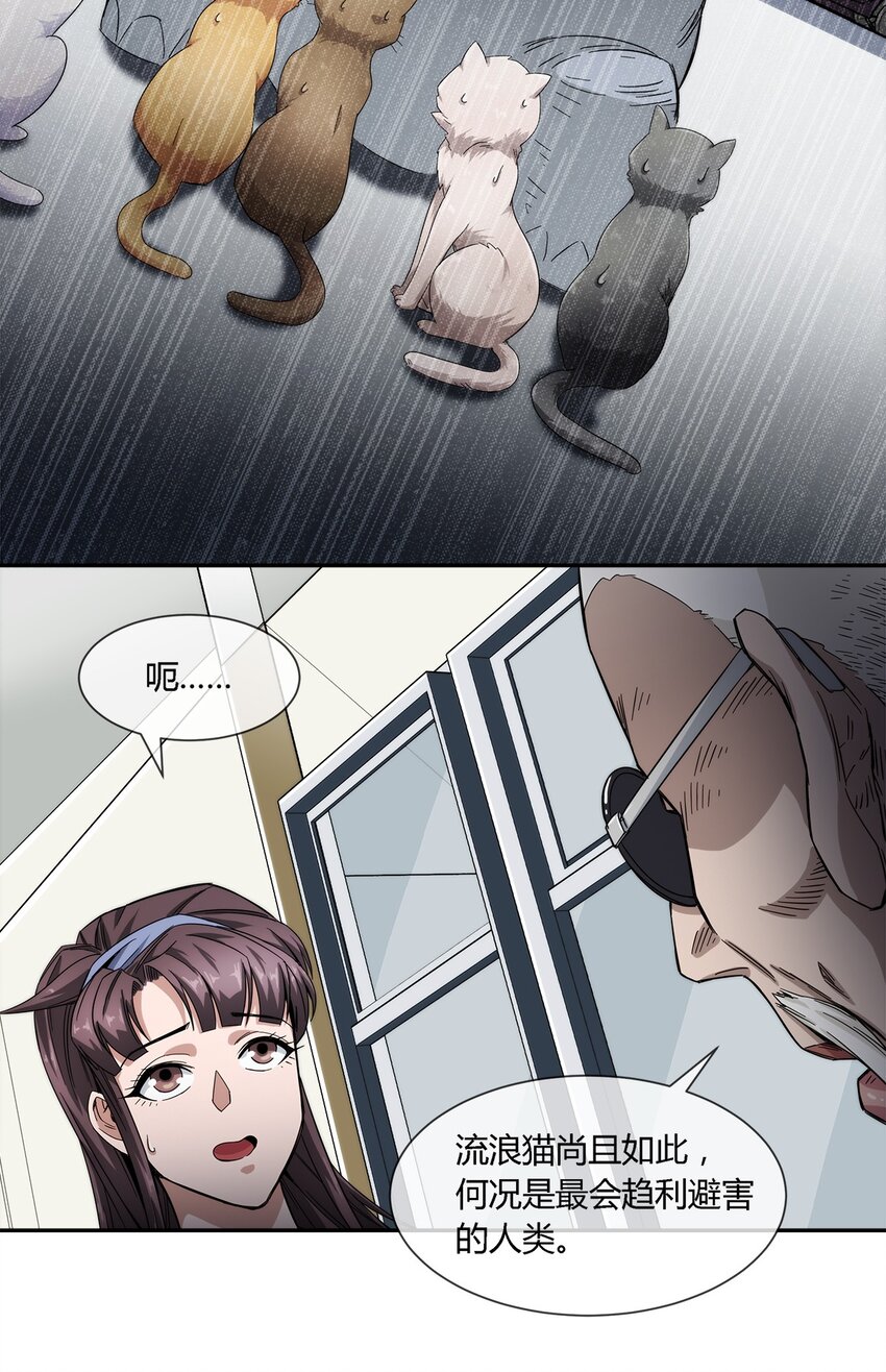 《夜市之王》020 流浪的猫咪和找事的猫咪 第38页