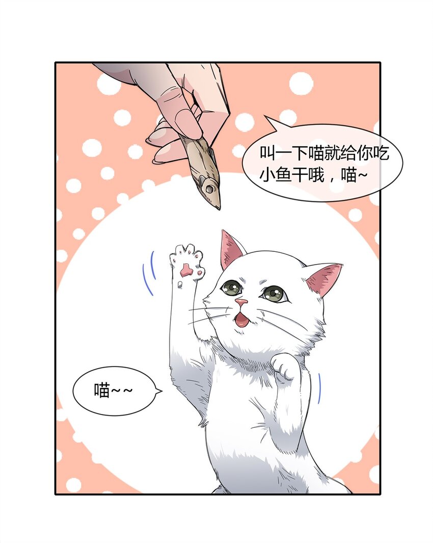 《夜市之王》024 一天的时间 第3页