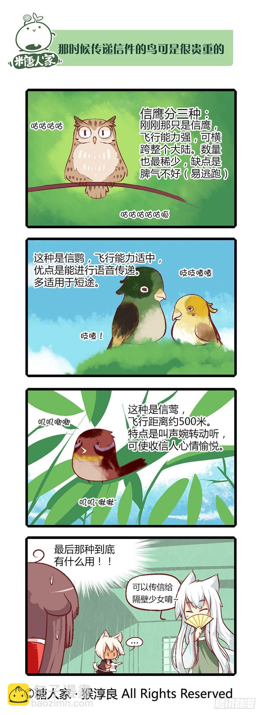 《猫之茗(旧版)》11.新手入城！ 第5页