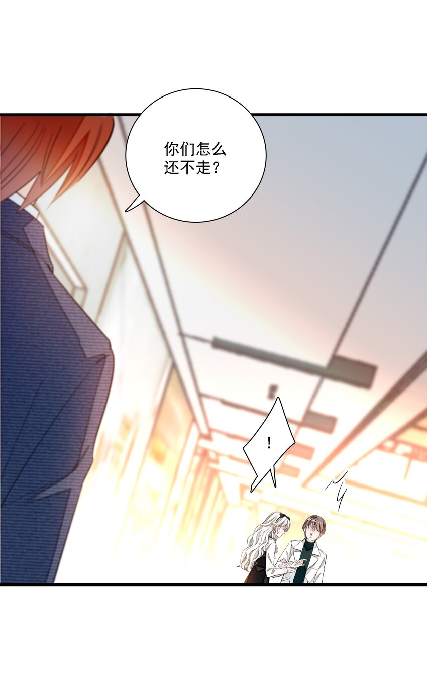 《龙凤翻转》034 幕后的人 第14页