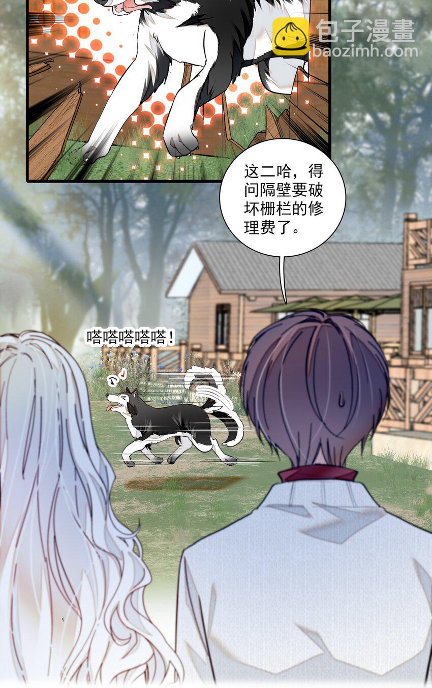 《龙凤翻转》060 背后的人 第41页