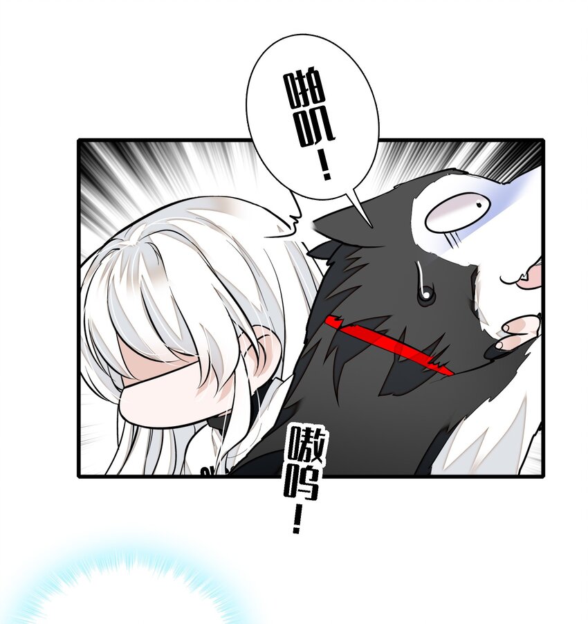 《龙凤翻转》066 分离的预告 第5页