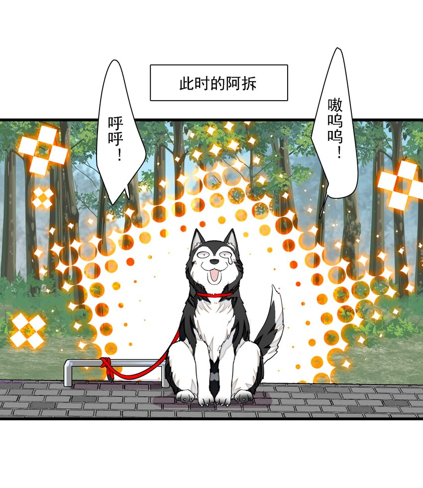 《龙凤翻转》066 分离的预告 第9页