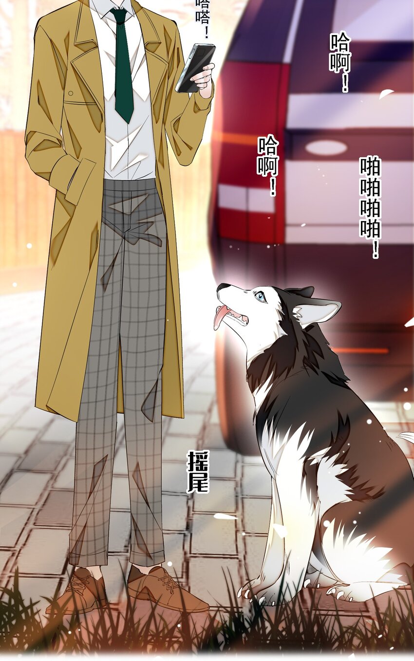 《龙凤翻转》062 我不是人，你是真的狗！ 第11页