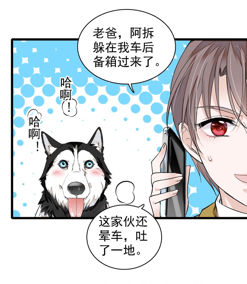 《龙凤翻转》062 我不是人，你是真的狗！ 第12页