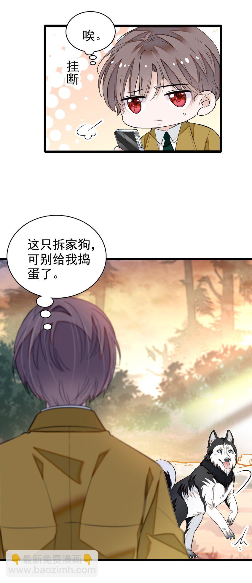 《龙凤翻转》062 我不是人，你是真的狗！ 第16页