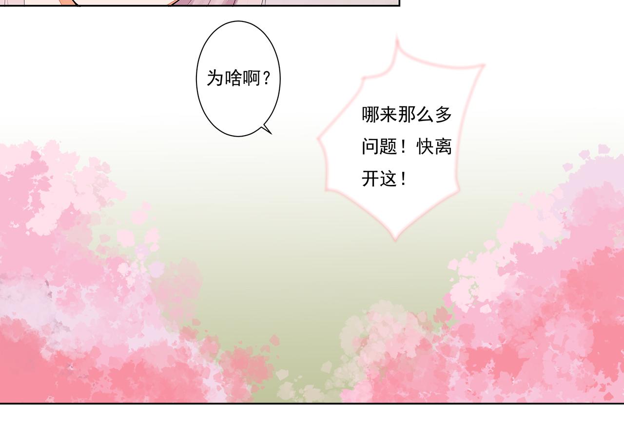 《桃之夭夭》第3话 两妖之争 竟为的是...？ 第36页