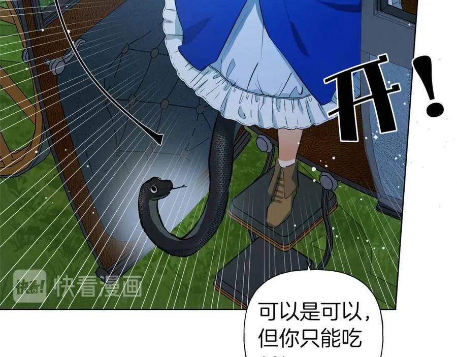 《The Golden Haired Elementalist》第10话 去吧！水精灵！ 第31页