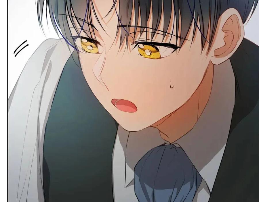 《The Golden Haired Elementalist》第31话 挺身而出 第47页