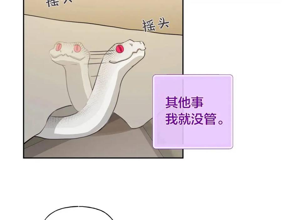 《The Golden Haired Elementalist》第34话 赢了就能见到他？ 第29页