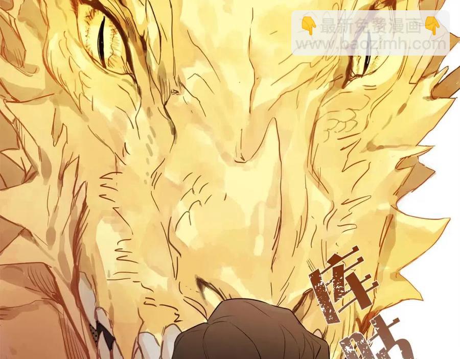 《The Golden Haired Elementalist》第一季完结篇 都得死？ 第19页