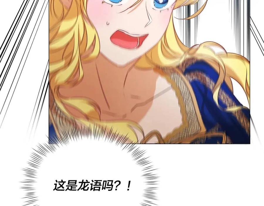 《The Golden Haired Elementalist》第二季 开启篇 龙的宠物 第12页