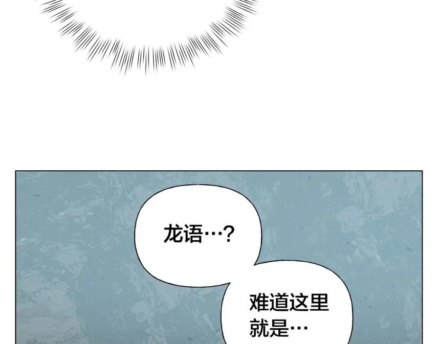 《The Golden Haired Elementalist》第二季 开启篇 龙的宠物 第13页