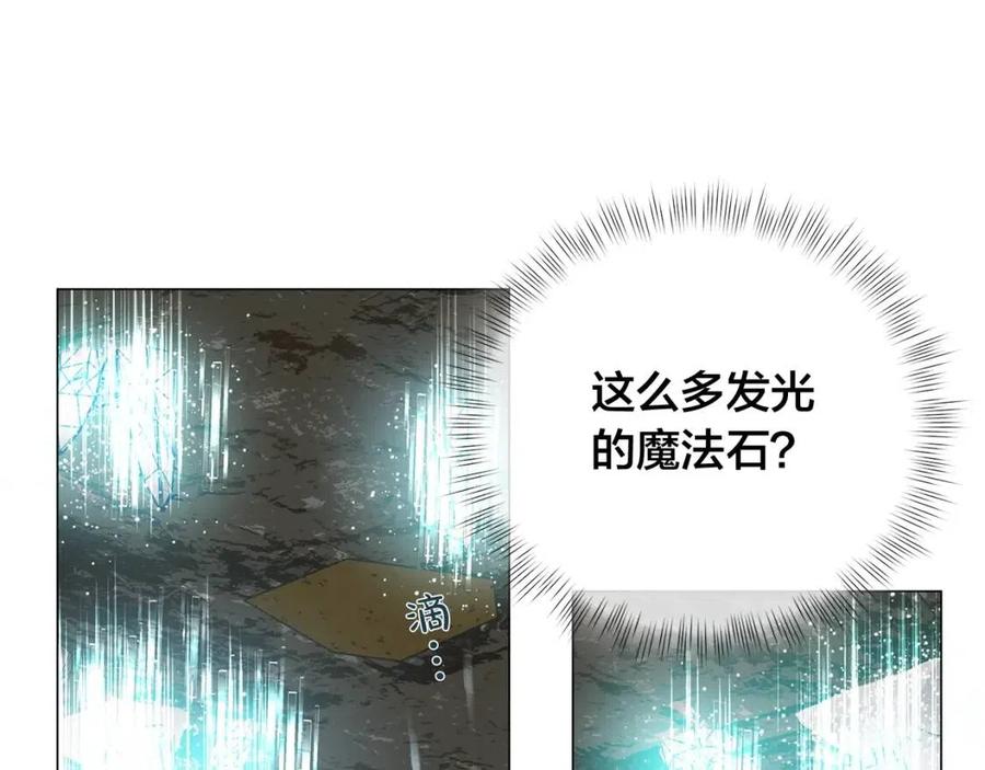 《The Golden Haired Elementalist》第二季 开启篇 龙的宠物 第15页