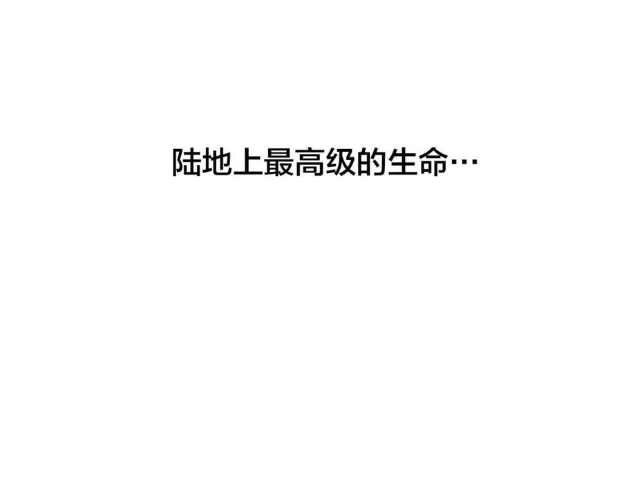 《The Golden Haired Elementalist》第二季 开启篇 龙的宠物 第27页