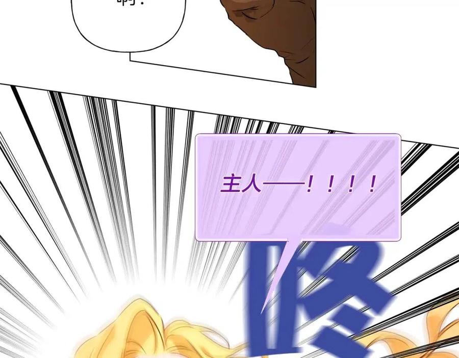 《The Golden Haired Elementalist》第二季 开启篇 龙的宠物 第37页