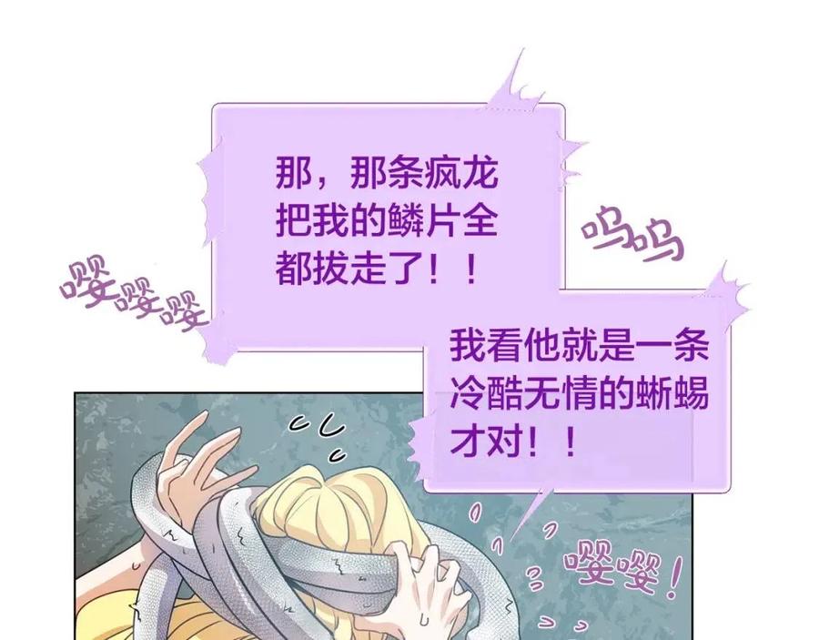 《The Golden Haired Elementalist》第二季 开启篇 龙的宠物 第40页