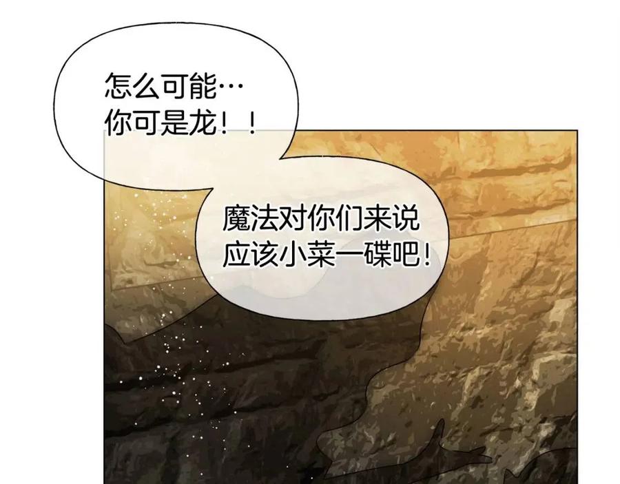 《The Golden Haired Elementalist》第48话 憨批龙变身啦！ 第38页