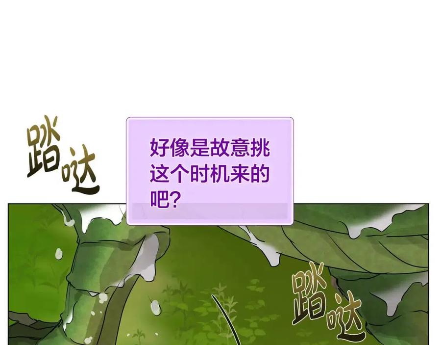 《The Golden Haired Elementalist》第56话 天选之子 第6页