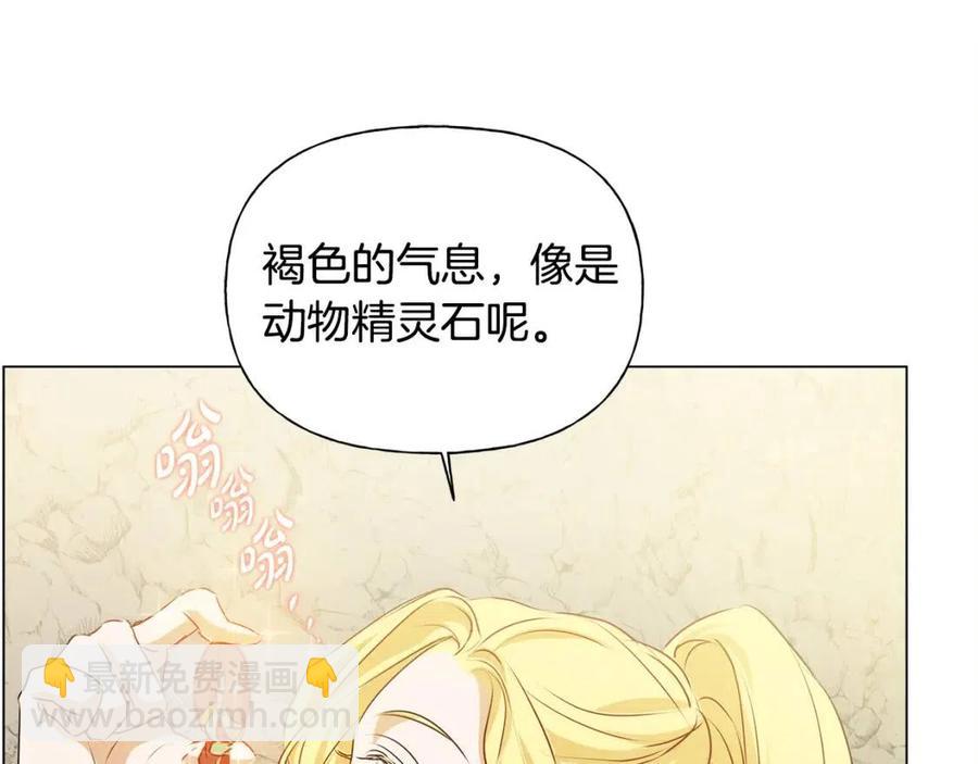 《The Golden Haired Elementalist》第58话 姐姐的请求 第42页