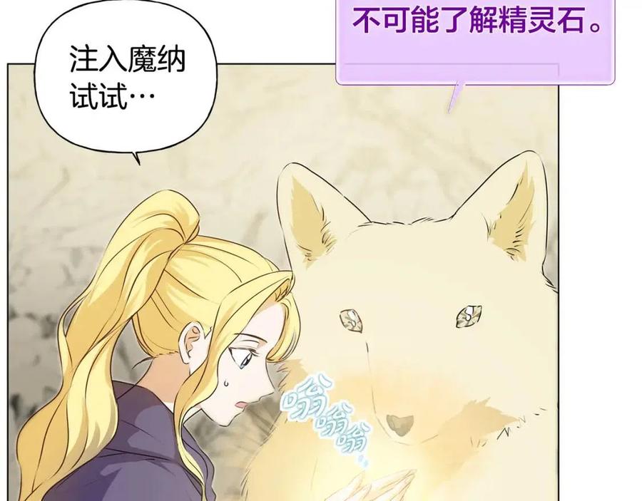 《The Golden Haired Elementalist》第58话 姐姐的请求 第5页