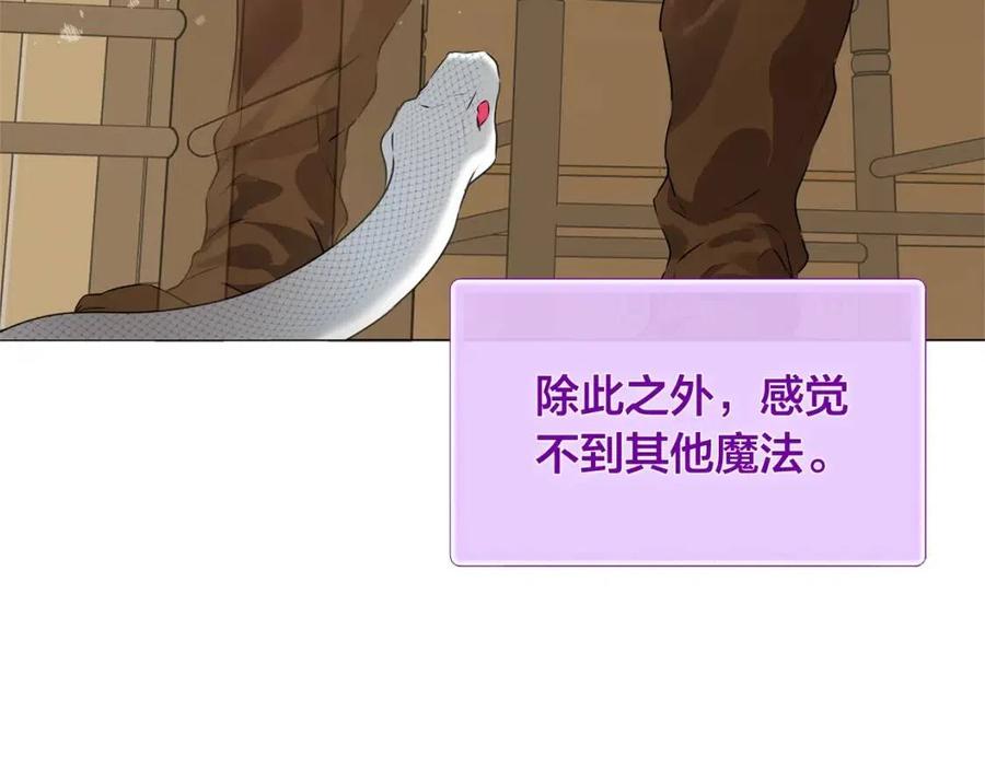 《The Golden Haired Elementalist》第62话 粉丝遍地 第27页