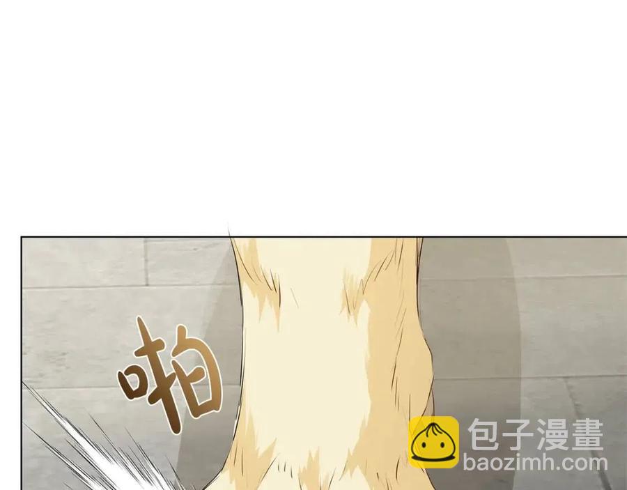 《The Golden Haired Elementalist》第64话 强悍的武力值 第27页