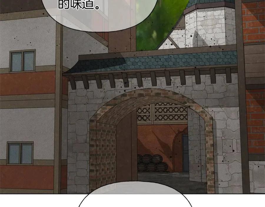 《The Golden Haired Elementalist》第64话 强悍的武力值 第2页