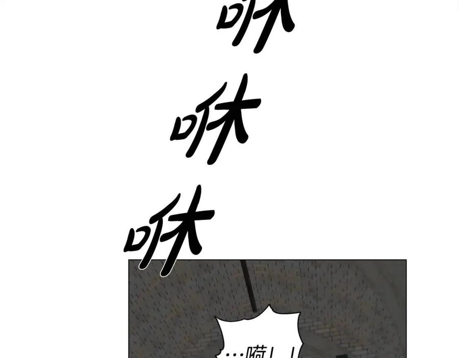 《The Golden Haired Elementalist》第67话 勇闯奴隶岛 第34页