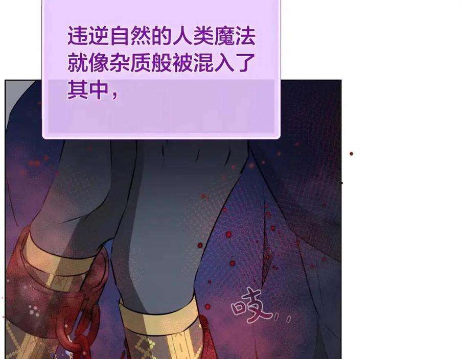 《The Golden Haired Elementalist》第68话 啧，受死吧 第20页