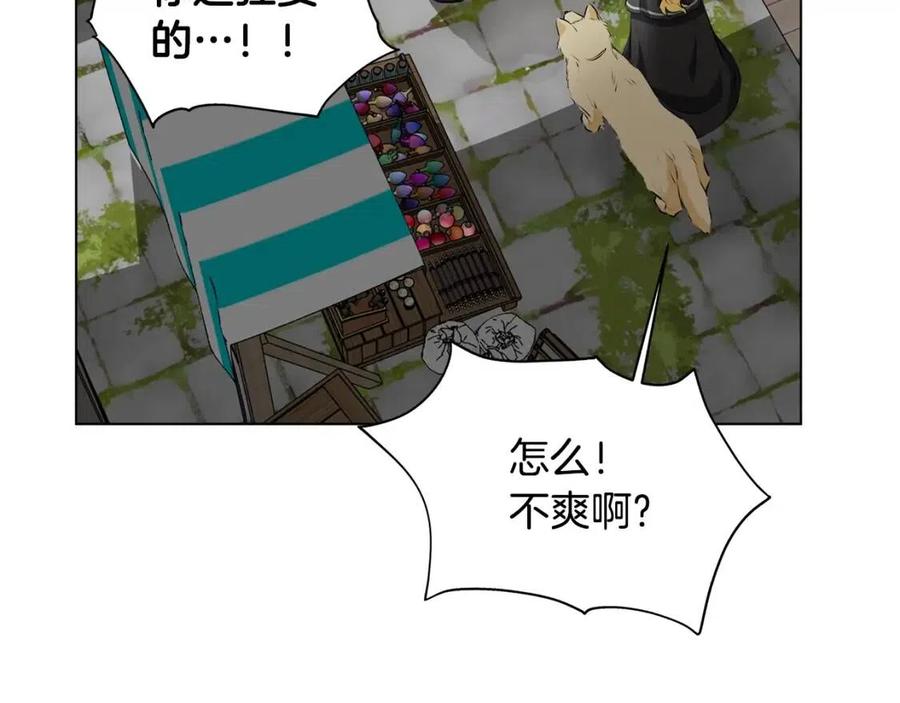 《The Golden Haired Elementalist》第二季完结话 第14页
