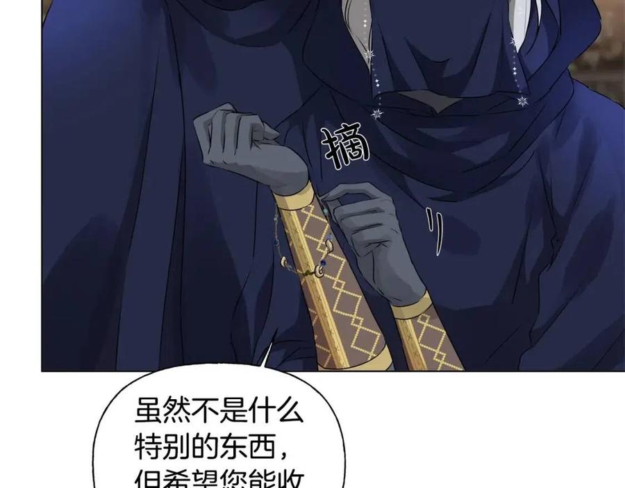 《The Golden Haired Elementalist》第二季完结话 第20页