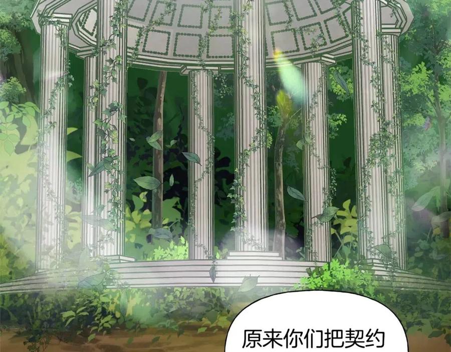 《The Golden Haired Elementalist》第二季完结话 第39页