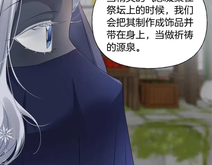 《The Golden Haired Elementalist》第二季完结话 第49页