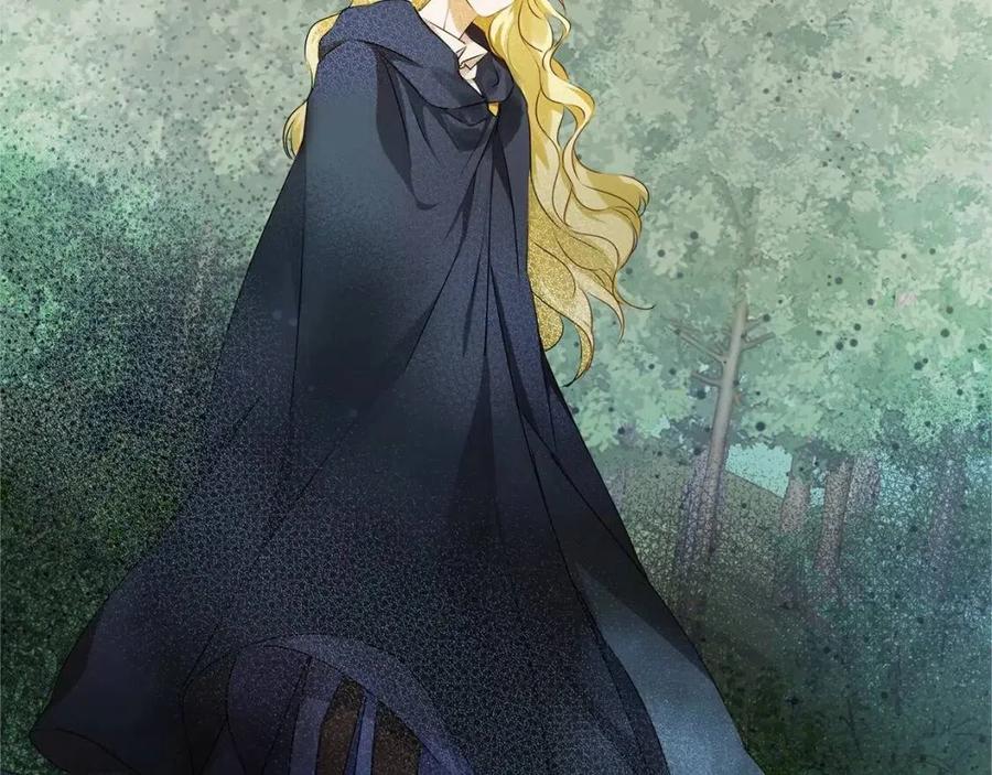 《The Golden Haired Elementalist》第74话 只有你靠得住 第41页