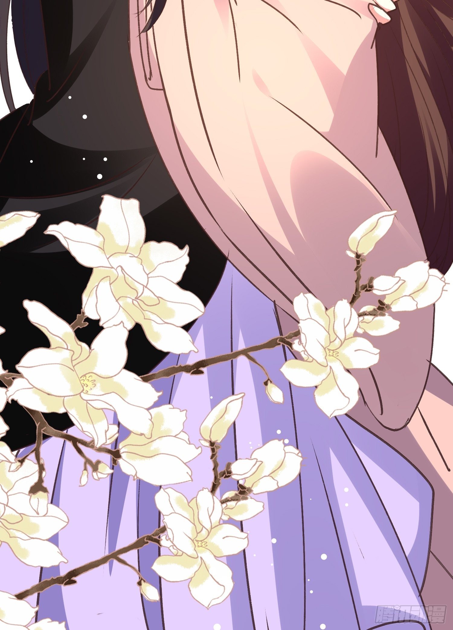 《神女为煌》镇国侯 第17页