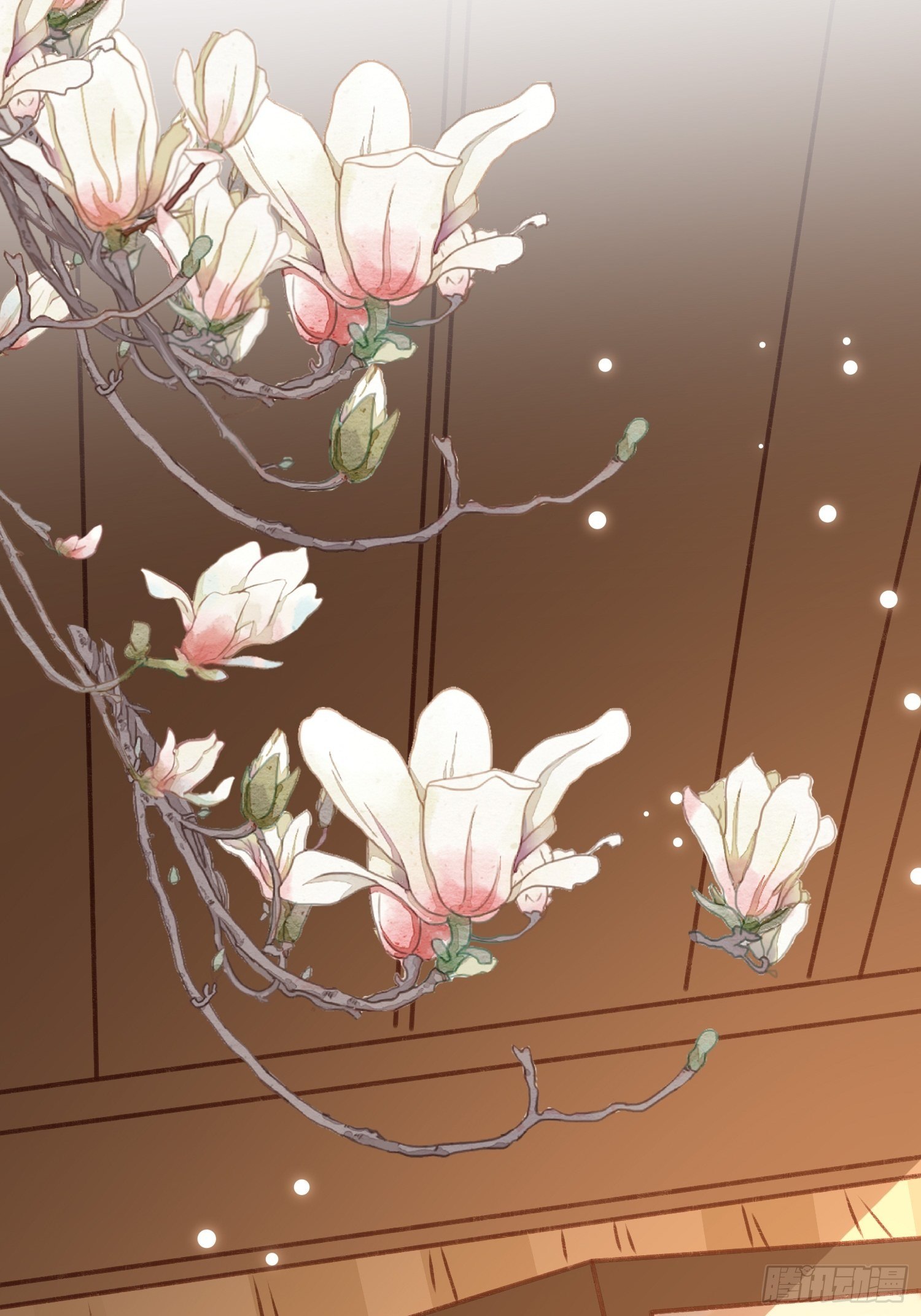《神女为煌》疯了 第40页