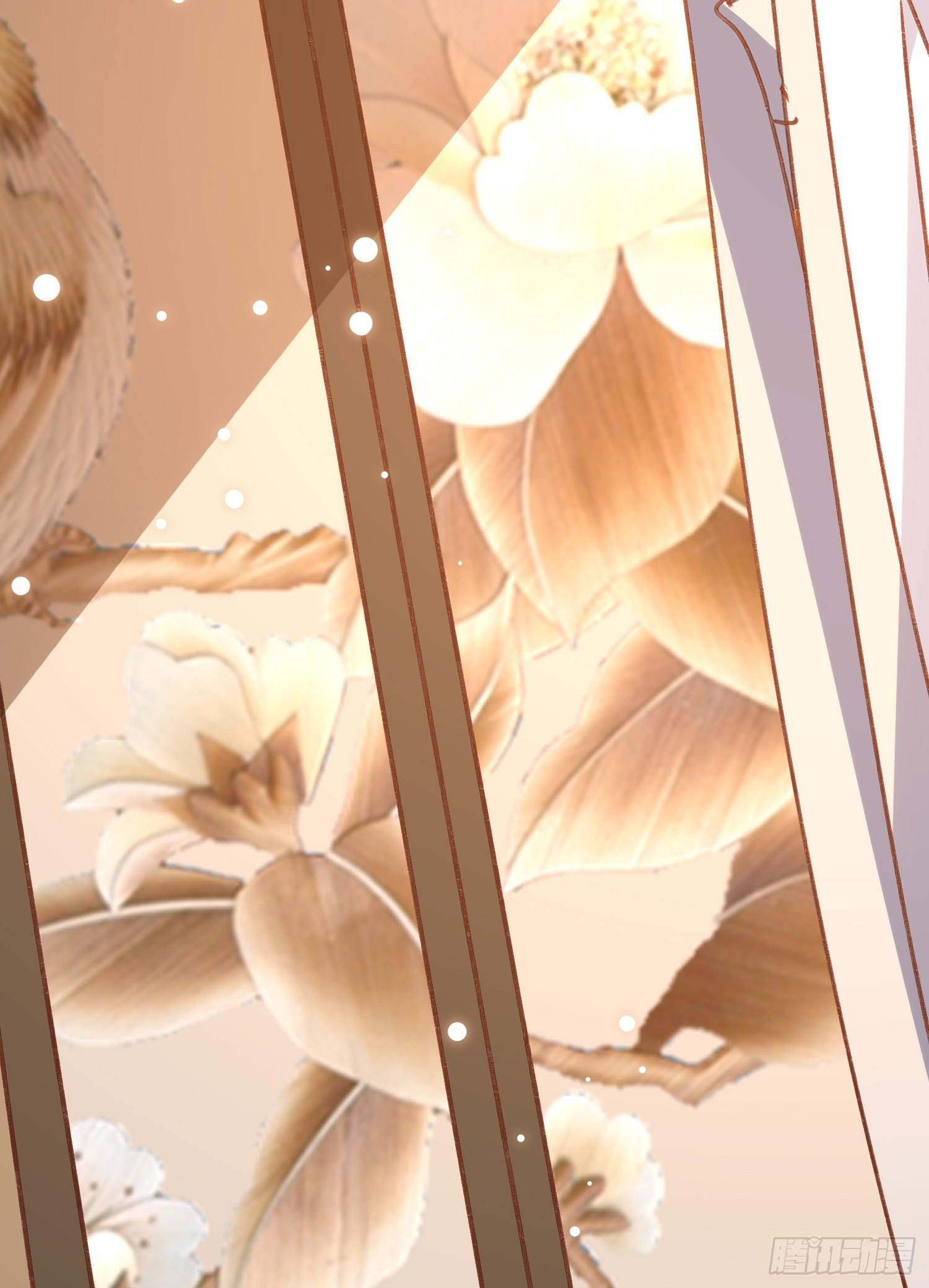 《神女为煌》疯了 第43页