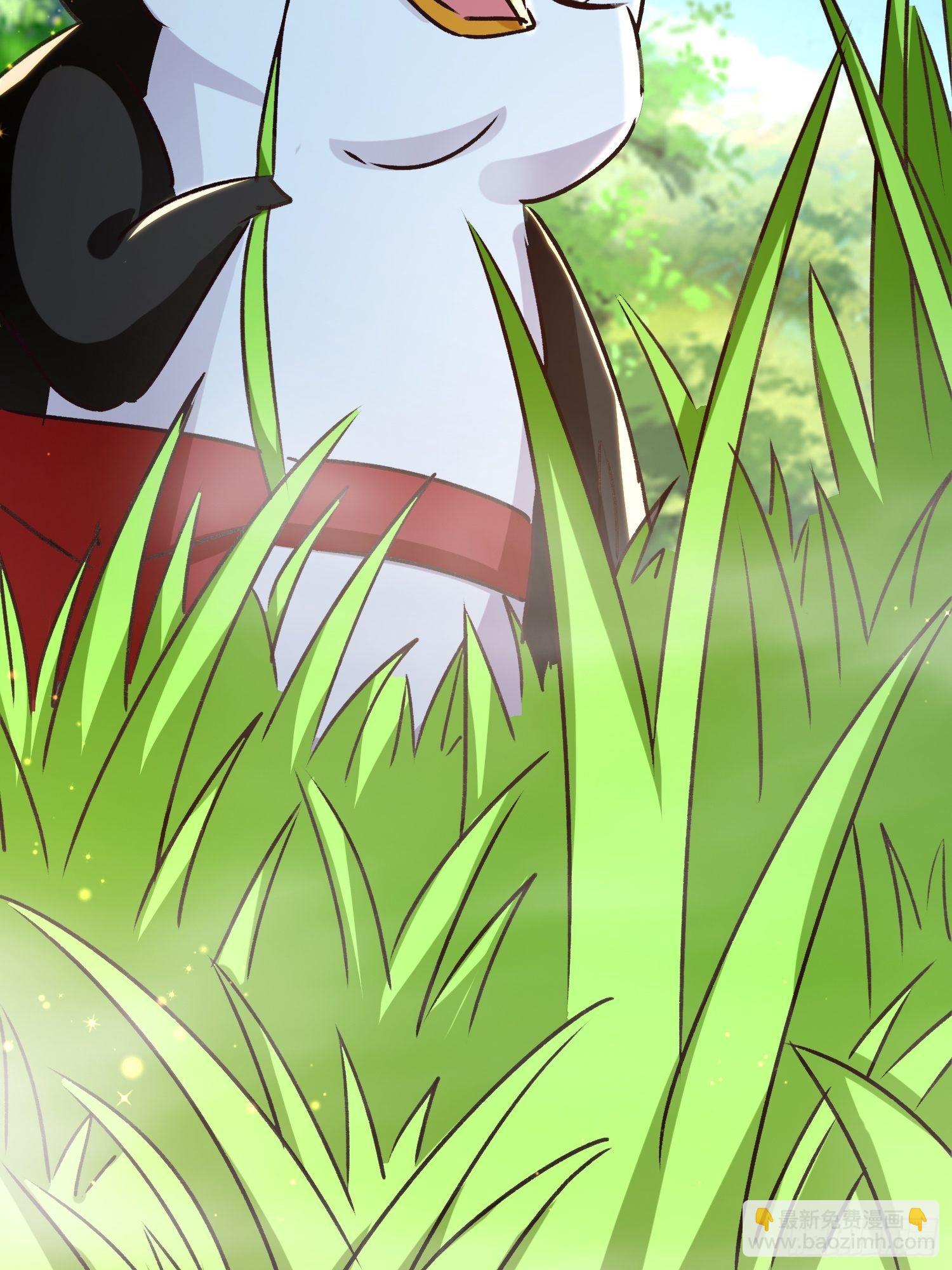 《神女为煌》非她不娶 第9页