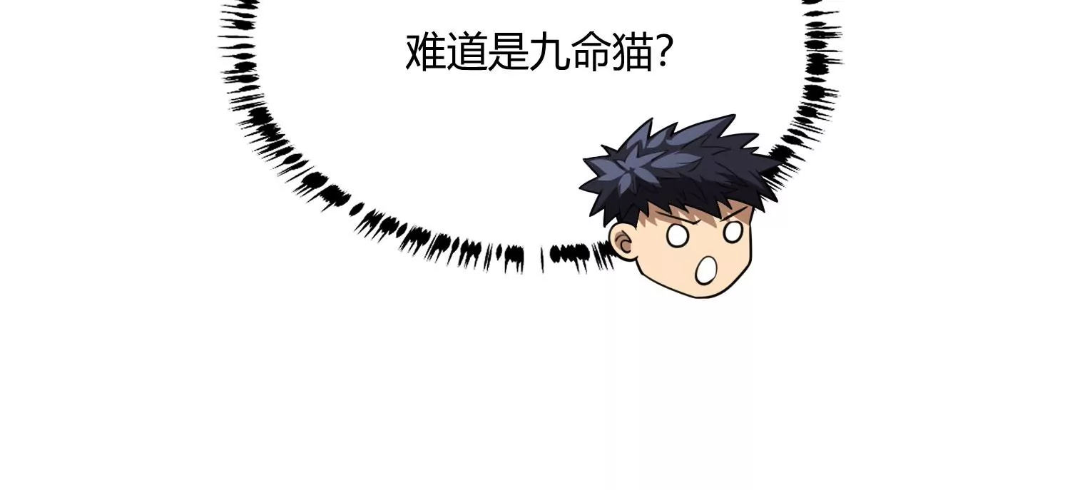 《造物者》狂蟒 第36页
