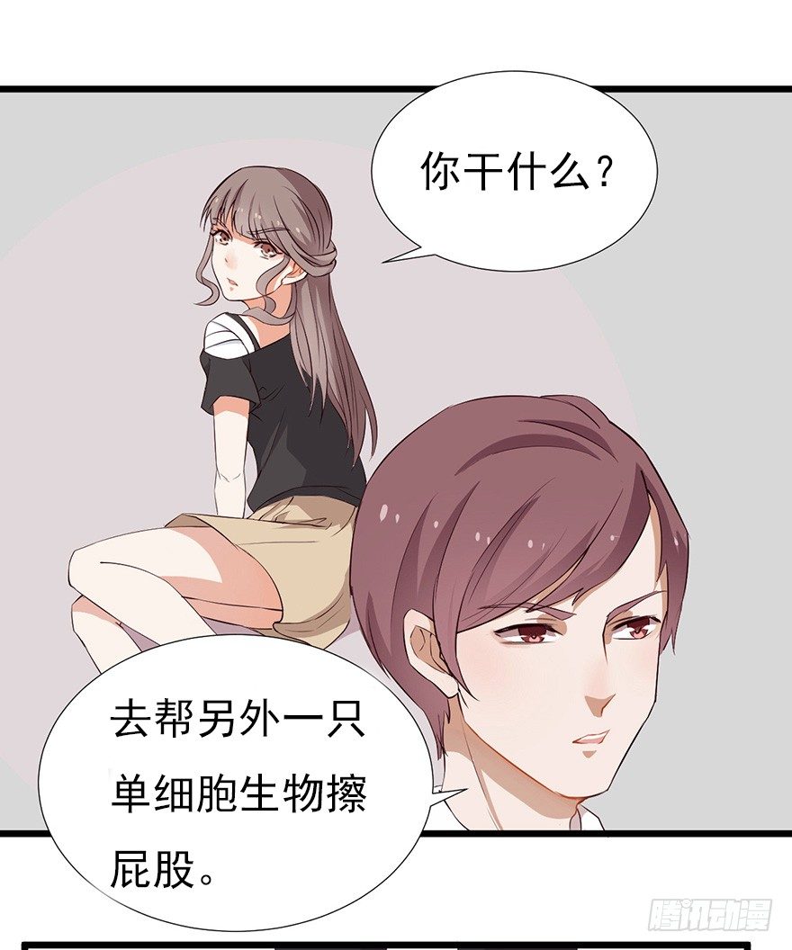 《芊娇柏媚》002单细胞动物的春天 第31页
