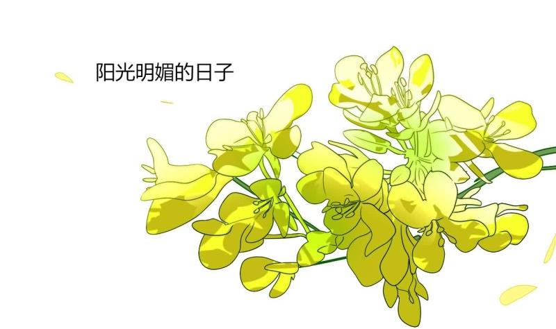 《男神X宅女》第77话 求婚 第5页