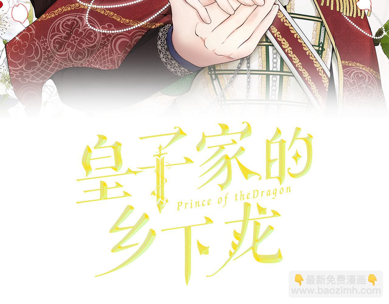 《皇子家的乡下龙》第48话 暗杀 第2页